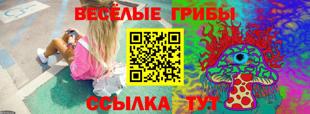 Галлюциногенные грибы Cubensis Озёры