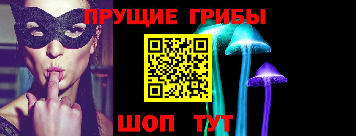 Галлюциногенные грибы Magic Shrooms  Галлюциногенные грибы Psilocybe  Вход с VPN  Озёры 